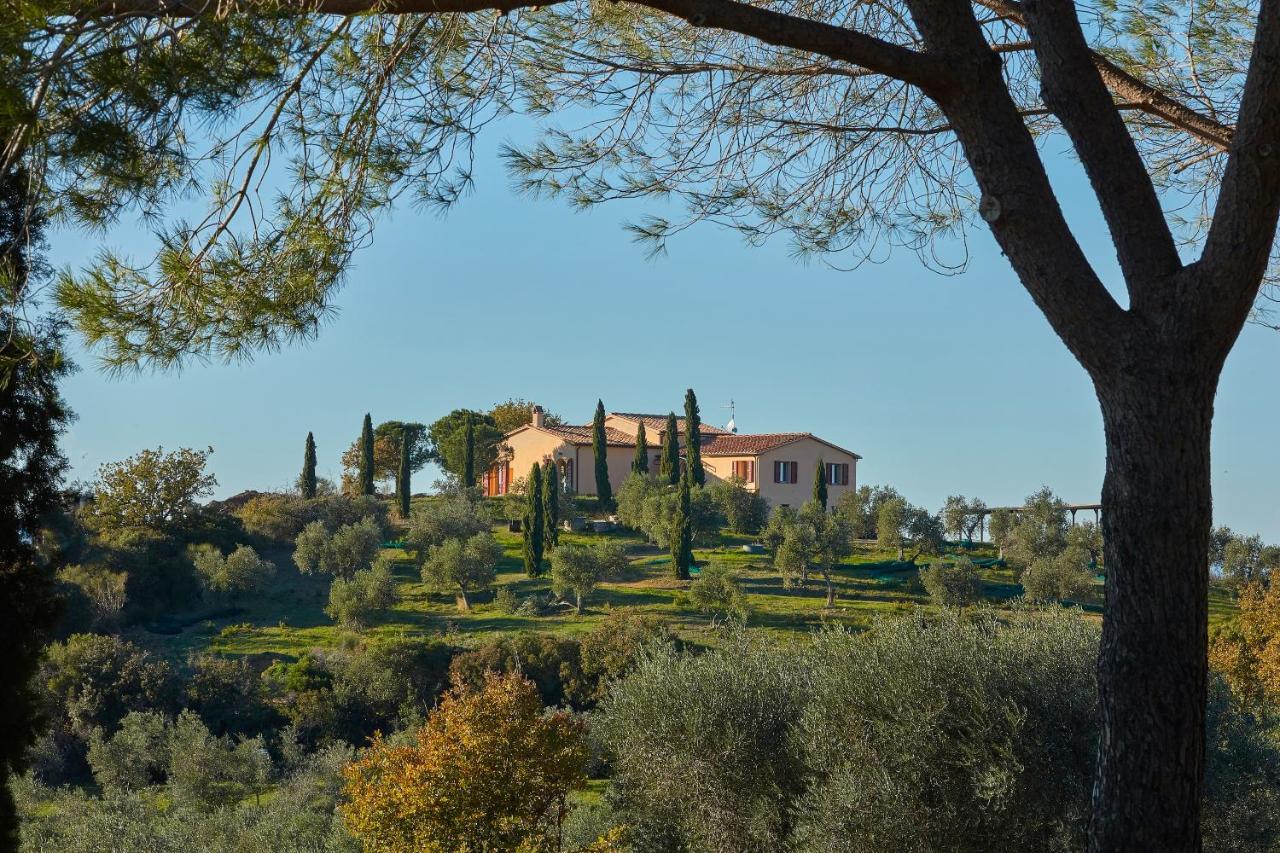 Poggio Tamantino, Villa Con Piscina In Maremma Poggio Cavallo Екстер'єр фото